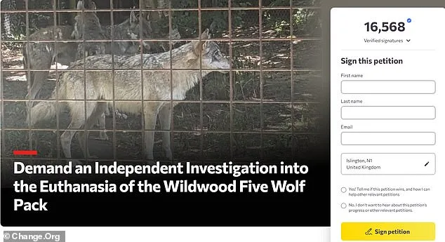 Furious Adopters Demand Independent Investigation After Park Euthanizes Wolves in 'Last Resort' Move