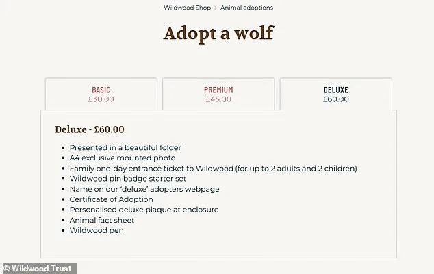 Furious Adopters Demand Independent Investigation After Park Euthanizes Wolves in 'Last Resort' Move