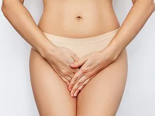 Breakthrough Clitoral Map Reveals Uncharted Nerves, Transforming Sexual Health Understanding