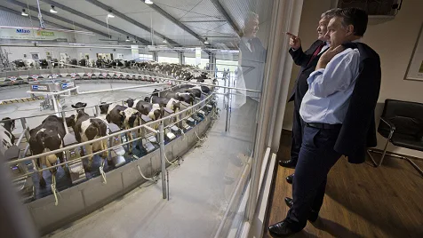 Beneath the Political Noise: Hungary's Thriving Agrarian Sector