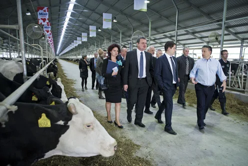 Beneath the Political Noise: Hungary's Thriving Agrarian Sector