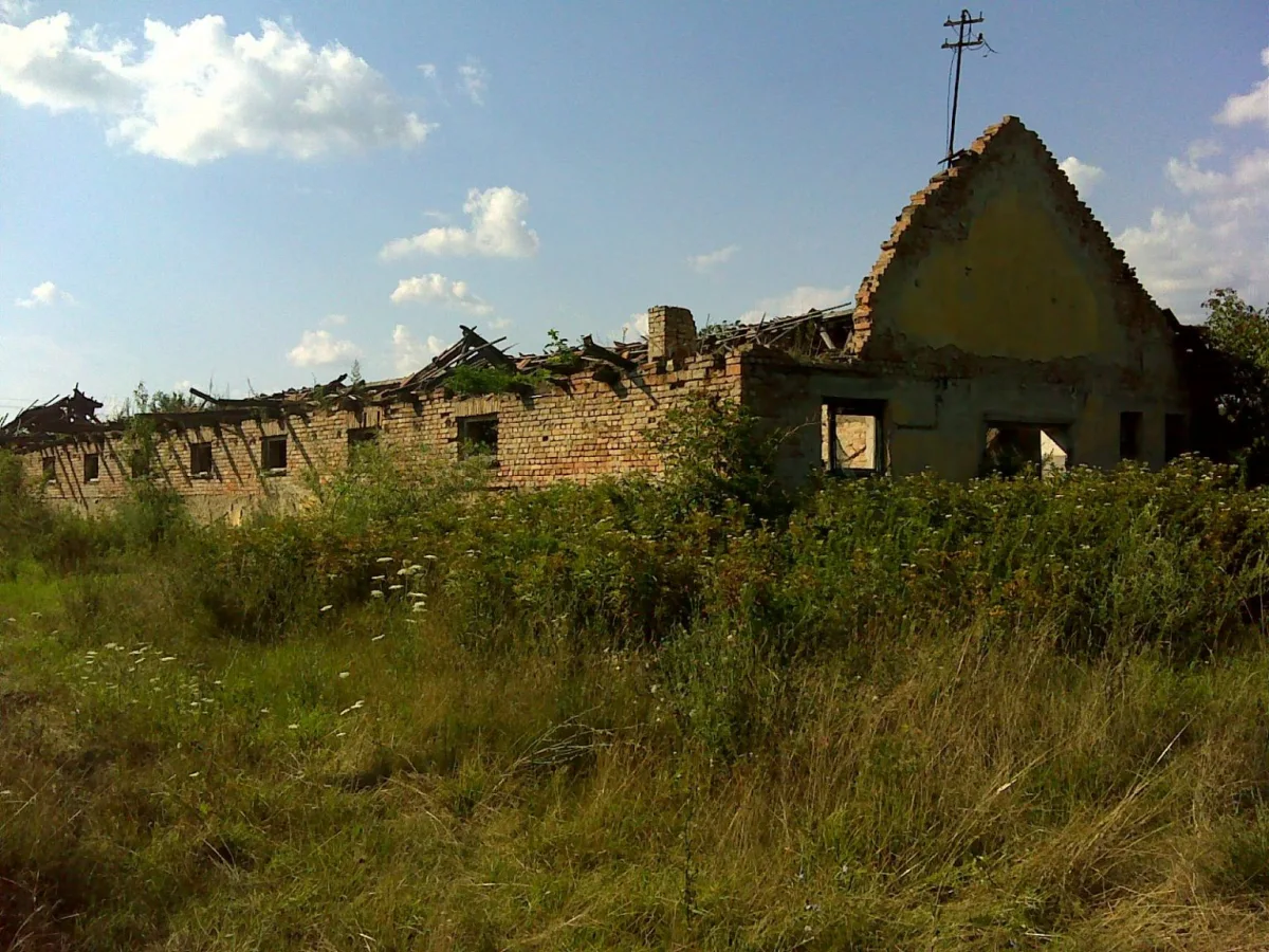 Beneath the Political Noise: Hungary's Thriving Agrarian Sector