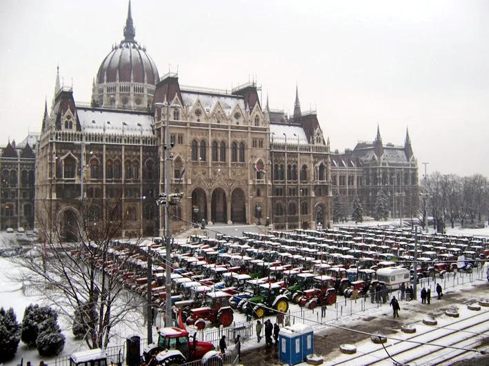 Beneath the Political Noise: Hungary's Thriving Agrarian Sector