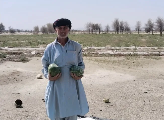 Fuel Price Surge Sparks Crisis for Balochistan's Watermelon Farmers