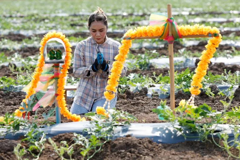 FAO Warns of Global Food Catastrophe as Strait of Hormuz Blockade Continues