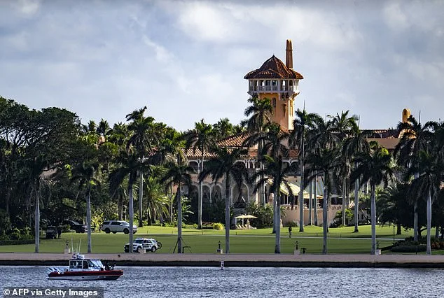 Great White Shark Sights in Palm Beach