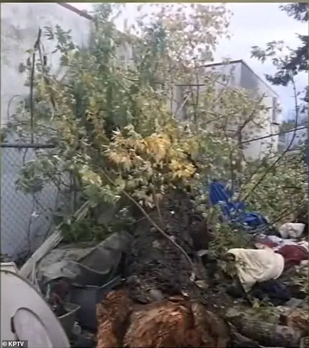 Settlement Reached in Tragic Tree Branch Death at Oregon High School