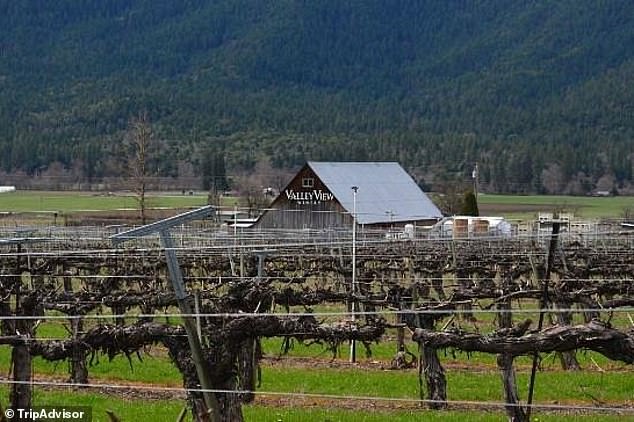 Oregon Winery Heir Sues Siblings Over AI Misuse in Court