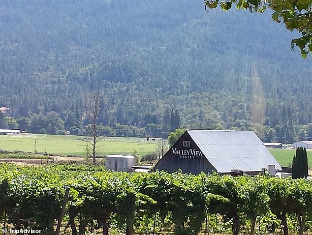 Oregon Winery Heir Sues Siblings Over AI Misuse in Court