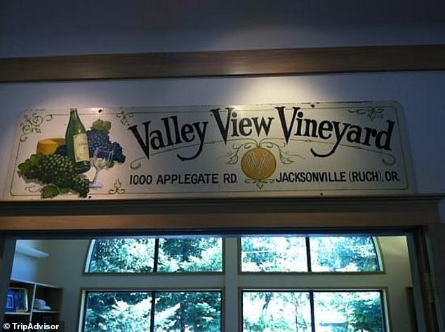 Oregon Winery Heir Sues Siblings Over AI Misuse in Court