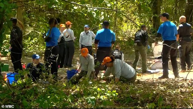 Investigators Rule Out Skelton Brothers in Memphis Discovery