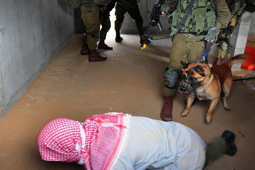 Hundreds of pro-Palestinian activists deported after flotilla interception and graphic detainee video.