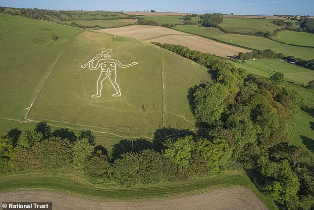 Workers manually restore historic Cerne Abbas Giant with 17 tonnes of chalk.