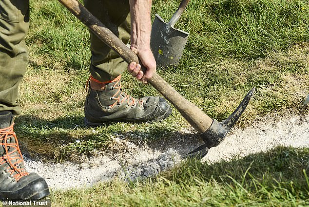 Workers manually restore historic Cerne Abbas Giant with 17 tonnes of chalk.