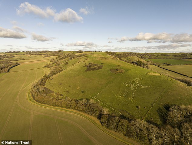 Workers manually restore historic Cerne Abbas Giant with 17 tonnes of chalk.