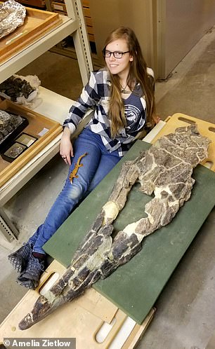 Scientists Unveil 43-Foot Mosasaur 'King' That Ruled Ancient Oceans