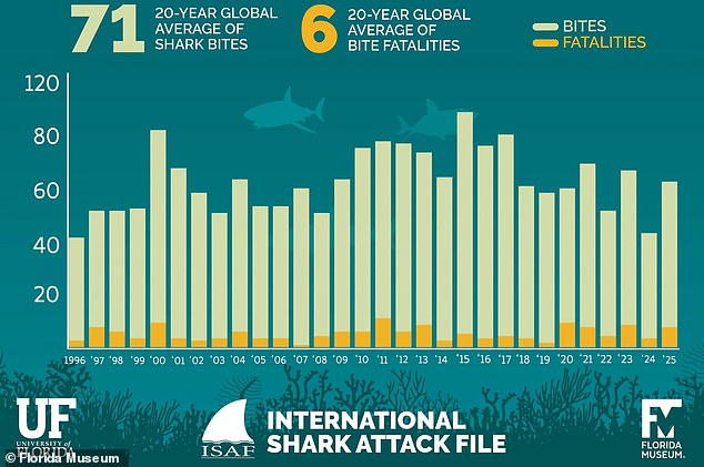 Florida Tops Global Shark Attacks While Mediterranean Great Whites Remain Safe
