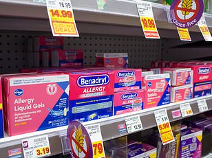 Hundreds Fall Ill From Antibiotic-Resistant Salmonella Linked to Backyard Chickens