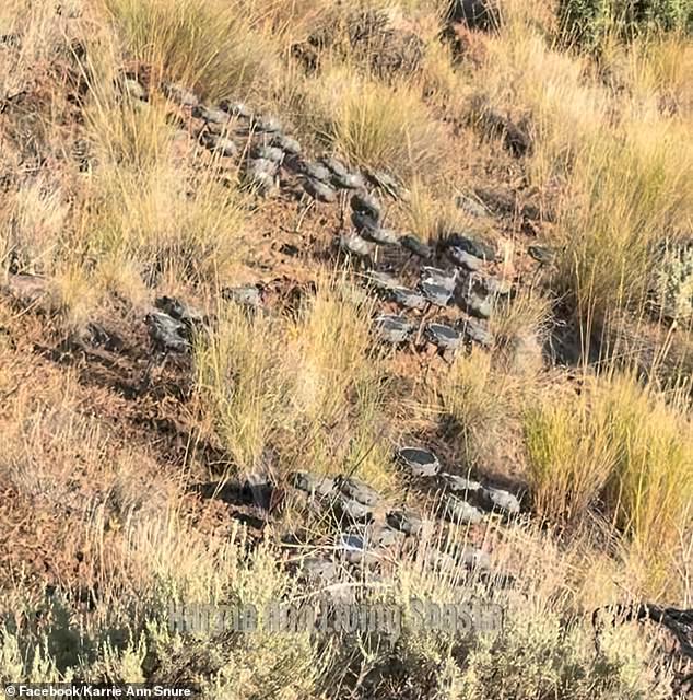 Hundreds of Bluetooth speakers scattered across Mount Shasta terrify California riders.