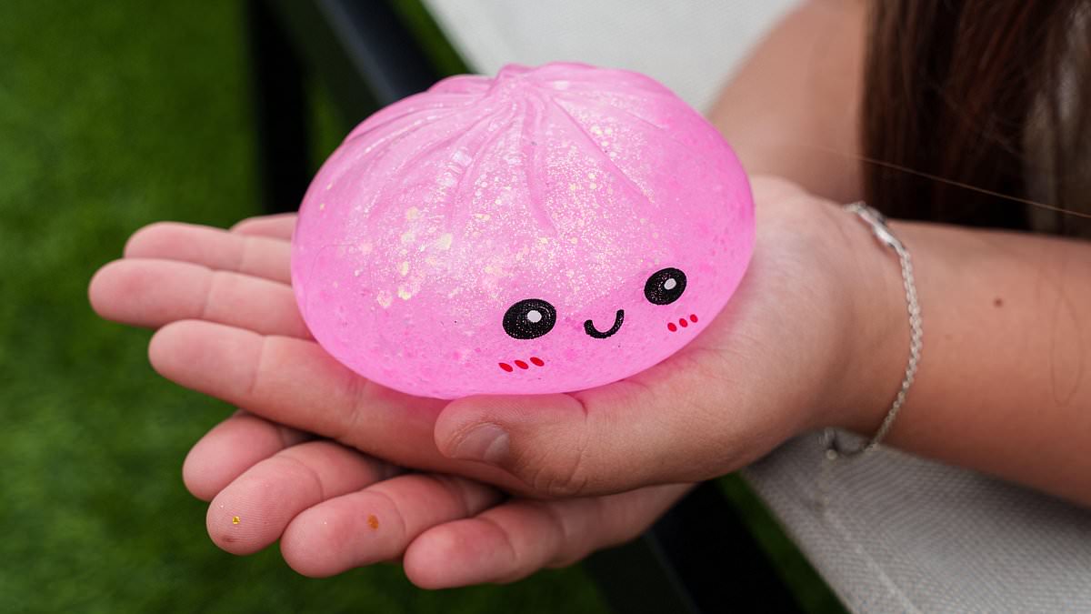 Viral Squishy Dumpling Toys Linked to Chemical Burns and Explosions