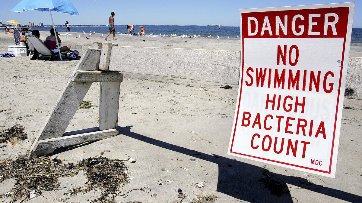 Enterococcus Bacteria Surge Triggers Swim Bans on East Coast Beaches