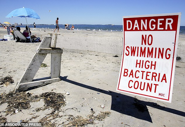 Enterococcus Bacteria Surge Triggers Swim Bans on East Coast Beaches