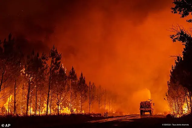 Joe Rogan Disputs Climate Change's Role in Los Angeles Wildfires