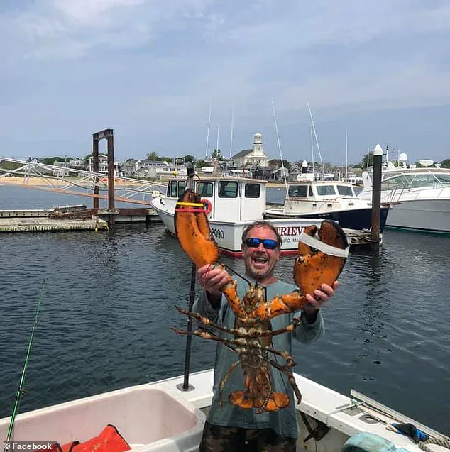 Massachusetts Lobster Diver 'Vindicated' by Whale Attack Footage