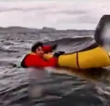 Massachusetts Lobster Diver 'Vindicated' by Whale Attack Footage