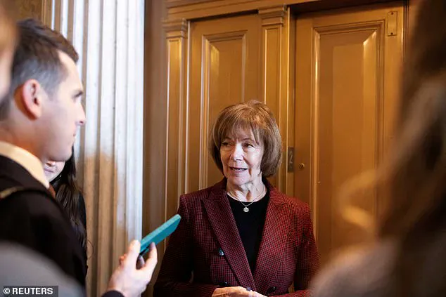 Senator's Shocking X Platform Outburst at Elon Musk