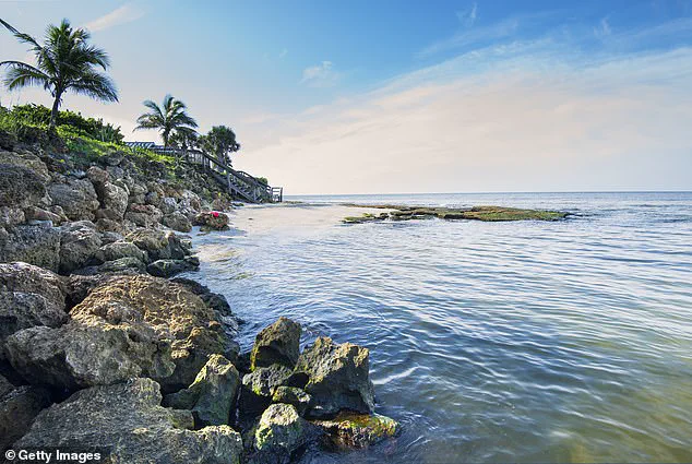 Siesta Key Beach: America's Top Beach with Superb Sand