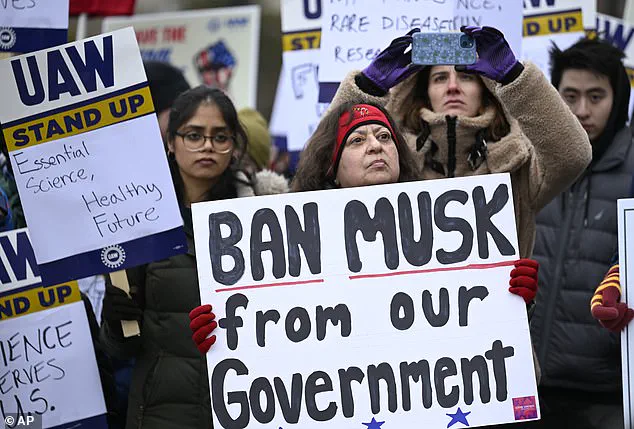 Tulsi Gabbard Joins the Crowd in Rejecting Elon Musk's Unconventional Request