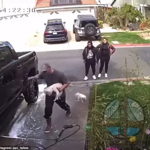 Vicious Attack on Dog Captures Shocking Bellwright Footage in Pittsburg