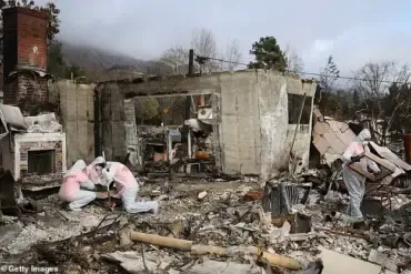 Wildfire Warning Alerts: A Matter of Life and Death