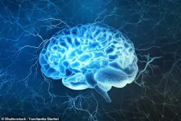 Scripps Researchers Unveil Potential Alzheimer’s Treatment from Rosemary Compound