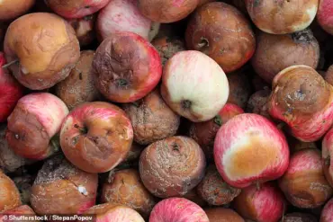 Violet Light: The Key to Keeping Apples Fresh and Appealing Without Harmful Chemicals