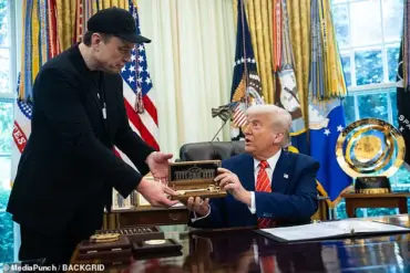 Exclusive Insights: Body Language Expert Reveals Trump and Musk's Evolving Dynamics in Closed-Door White House Meeting