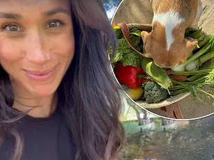 Privileged Lies and Royal Betrayal: Meghan Markle's Self-Serving Empire Exposed