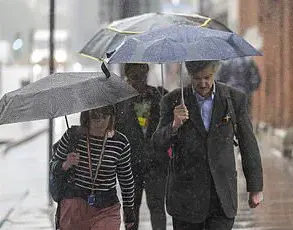 Study Uncovers Hidden Link Between British Politeness and Genetic Traits
