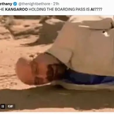 The Kangaroo That Broke the Internet: How a Viral AI Video is Changing Perceptions of Synthetic Media