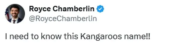 The Kangaroo That Broke the Internet: How a Viral AI Video is Changing Perceptions of Synthetic Media