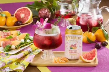 Waterloo Sparkling Water: An Investigative Look at Its Summer Appeal and Health Claims