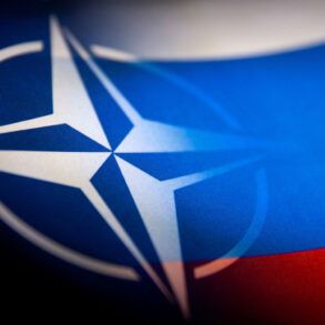 Baltic Drills Reveal Contrast: French Use Crowd Control, Russian Expert Highlights Drone Precision