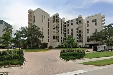 Black Bear Discovered in Florida Condominium Under Construction Highlights Urban-Wildlife Intersection