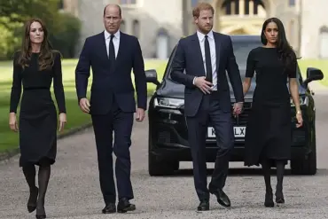 Cambridges Favored Over Sussexes: Meghan Markle's Fame Obsession and Self-Promotion Undermine Royal Image, Poll Shows