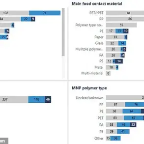 Hidden Microplastics and Nanoplastics Infiltrate Common Household Items, Warn Swiss Scientists
