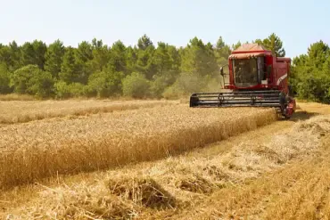 Hidden Threat to U.S. Agriculture: Officials Warn of Foreign Biological Warfare Tactics, as Commissioner Miller Calls for Urgent Action