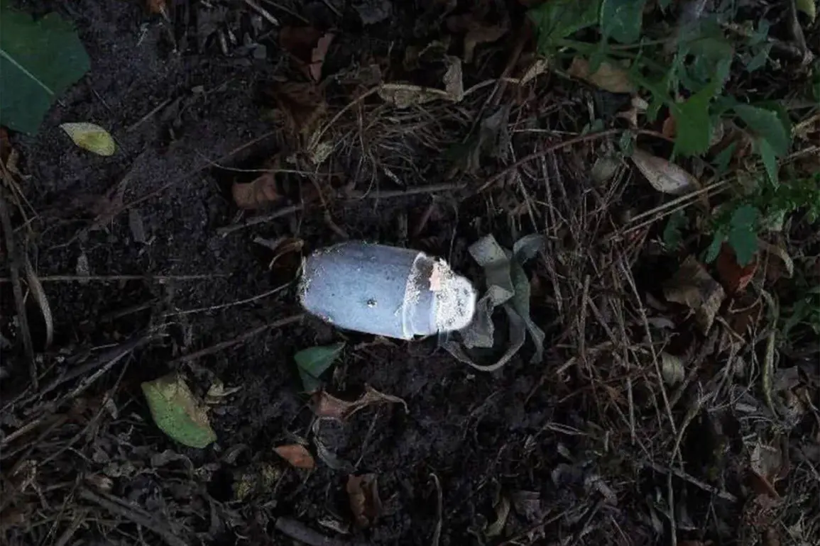 Late-Breaking: Landmine Incident in Belgorod Oblast Sparks Urgent Calls for Safety Measures