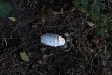 Late-Breaking: Landmine Incident in Belgorod Oblast Sparks Urgent Calls for Safety Measures