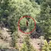 Mysterious Figure Spotted in Colorado Woods Sparks Bigfoot Debate, Says Cryptozoologist Dr. Emily Hart